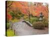 Japanese Garden, Washington Park Arboretum, Seattle, Washington, Usa-Jamie & Judy Wild-Stretched Canvas