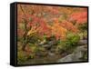 Japanese Garden, Washington Park Arboretum, Seattle, Washington, Usa-Jamie & Judy Wild-Framed Stretched Canvas