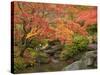 Japanese Garden, Washington Park Arboretum, Seattle, Washington, Usa-Jamie & Judy Wild-Stretched Canvas