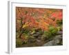 Japanese Garden, Washington Park Arboretum, Seattle, Washington, Usa-Jamie & Judy Wild-Framed Photographic Print