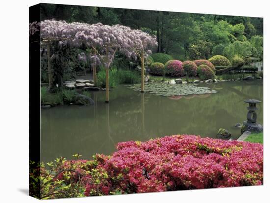 Japanese Garden with Rhododendrons and Wysteria, Seattle, Washington, USA-Jamie & Judy Wild-Stretched Canvas