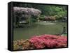 Japanese Garden with Rhododendrons and Wysteria, Seattle, Washington, USA-Jamie & Judy Wild-Framed Stretched Canvas