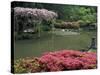 Japanese Garden with Rhododendrons and Wysteria, Seattle, Washington, USA-Jamie & Judy Wild-Stretched Canvas