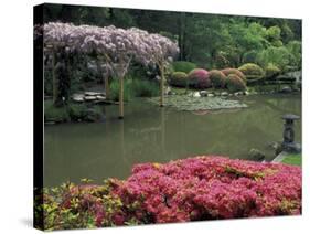 Japanese Garden with Rhododendrons and Wysteria, Seattle, Washington, USA-Jamie & Judy Wild-Stretched Canvas