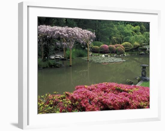 Japanese Garden with Rhododendrons and Wysteria, Seattle, Washington, USA-Jamie & Judy Wild-Framed Photographic Print