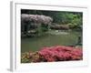 Japanese Garden with Rhododendrons and Wysteria, Seattle, Washington, USA-Jamie & Judy Wild-Framed Photographic Print