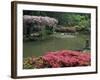 Japanese Garden with Rhododendrons and Wysteria, Seattle, Washington, USA-Jamie & Judy Wild-Framed Photographic Print