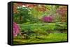 Japanese Garden-neirfy-Framed Stretched Canvas