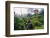 Japanese Garden-Darrell Gulin-Framed Photographic Print