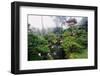 Japanese Garden-Darrell Gulin-Framed Photographic Print