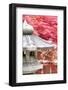 Japanese Garden-Torsakarin-Framed Photographic Print