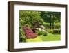 Japanese Garden-Michael Shake-Framed Photographic Print