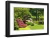 Japanese Garden-Michael Shake-Framed Photographic Print