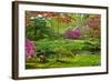 Japanese Garden-neirfy-Framed Photographic Print