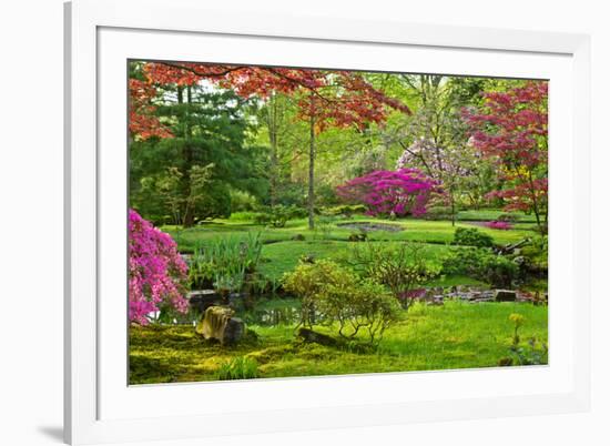 Japanese Garden-neirfy-Framed Photographic Print