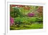 Japanese Garden-neirfy-Framed Photographic Print