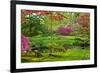 Japanese Garden-neirfy-Framed Photographic Print