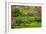 Japanese Garden-neirfy-Framed Photographic Print