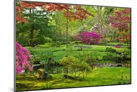 Japanese Garden-neirfy-Mounted Photographic Print