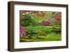 Japanese Garden-neirfy-Framed Photographic Print