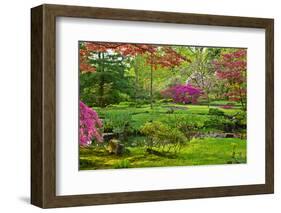 Japanese Garden-neirfy-Framed Photographic Print