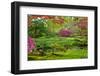 Japanese Garden-neirfy-Framed Photographic Print