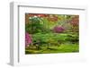 Japanese Garden-neirfy-Framed Photographic Print