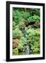 Japanese Garden-Erin Berzel-Framed Photographic Print