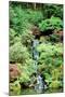 Japanese Garden-Erin Berzel-Mounted Photographic Print