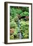 Japanese Garden-Erin Berzel-Framed Photographic Print