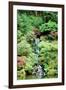 Japanese Garden-Erin Berzel-Framed Photographic Print