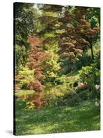 Japanese Garden-Thonig-Stretched Canvas