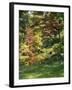 Japanese Garden-Thonig-Framed Photographic Print