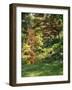 Japanese Garden-Thonig-Framed Photographic Print