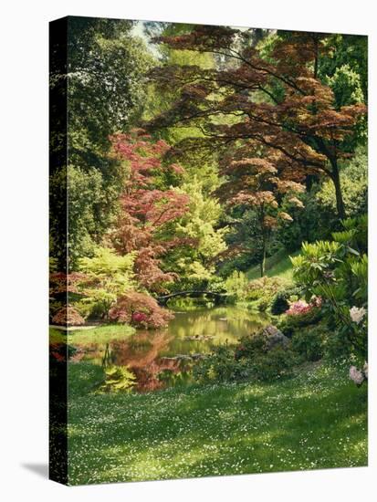 Japanese Garden-Thonig-Stretched Canvas