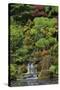 Japanese Gardens I-Brian Moore-Stretched Canvas