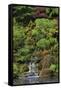 Japanese Gardens I-Brian Moore-Framed Stretched Canvas