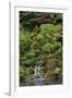 Japanese Gardens I-Brian Moore-Framed Premium Photographic Print