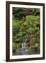 Japanese Gardens I-Brian Moore-Framed Premium Photographic Print