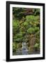 Japanese Gardens I-Brian Moore-Framed Premium Photographic Print