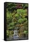 Japanese Gardens I-Brian Moore-Framed Stretched Canvas