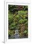 Japanese Gardens I-Brian Moore-Framed Photographic Print
