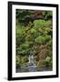 Japanese Gardens I-Brian Moore-Framed Photographic Print