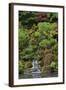 Japanese Gardens I-Brian Moore-Framed Photographic Print