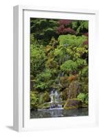 Japanese Gardens I-Brian Moore-Framed Photographic Print