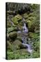 Japanese Gardens II-Brian Moore-Stretched Canvas