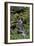 Japanese Gardens II-Brian Moore-Framed Photographic Print