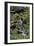 Japanese Gardens II-Brian Moore-Framed Photographic Print