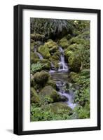 Japanese Gardens II-Brian Moore-Framed Photographic Print