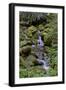 Japanese Gardens II-Brian Moore-Framed Photographic Print